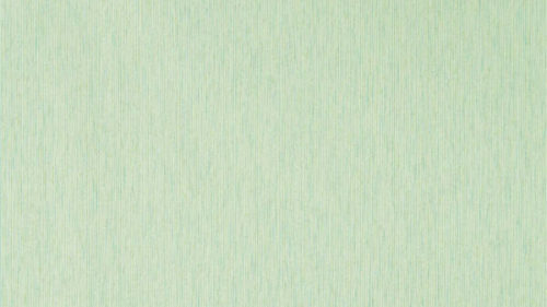 Caspian Strie 216772